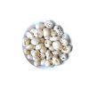 Buy Ayurvedic Herbs & Products Online | Certified by Ayurveda Doctors | 100% genuine | Trustherb Ayurvedic products marketplace